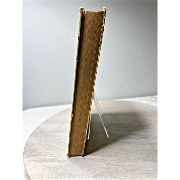 Big Big Story Book — Black Beauty / Heidi / Grimm’s Fairy Tales / Peter Pan / Ha - Picture 3 of 10